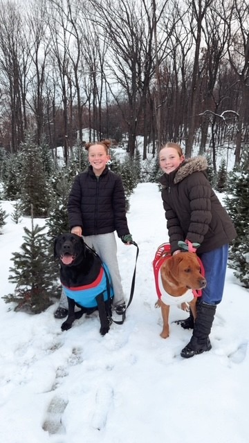 3f34b40a-7522-4358-9069-bd8e23aa6f64